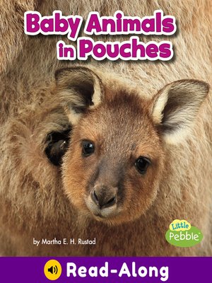 cover image of Baby Animals in Pouches